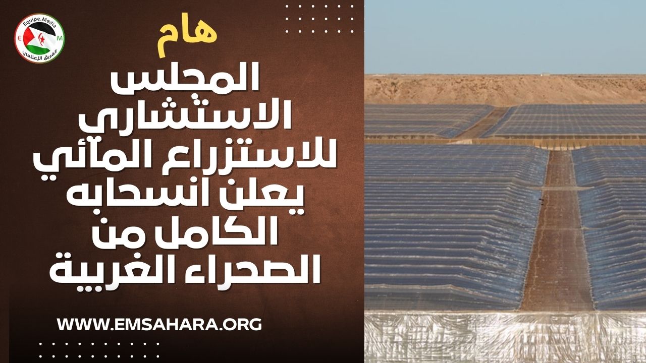 المجلس الاستشاري للاستزراع المائي (ASC) يعلن انسحابه الكامل من الصحراء الغربية