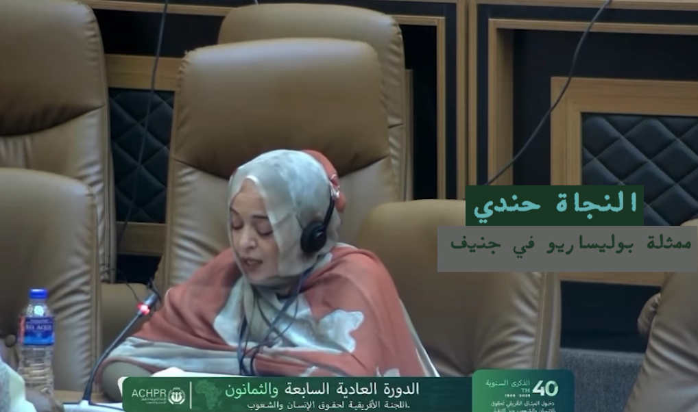 الجمهورية الصحراوية تحتج رسميا أمام اللجنة الإفريقية لحقوق الإنسان ضد إلغاء نشاط يسليط الضوء على أوضاع الحقوق